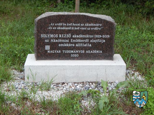 DSCN9549