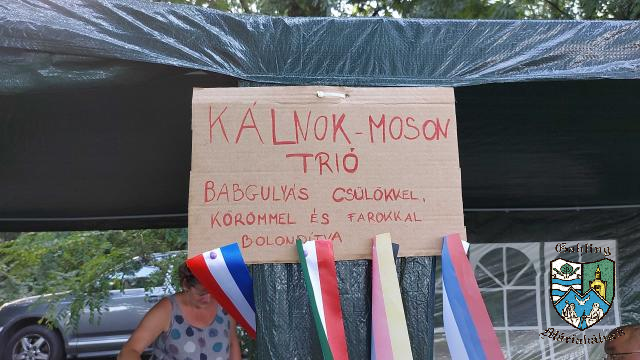 DJI_20210807_161711_178