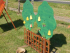 DSCN0007